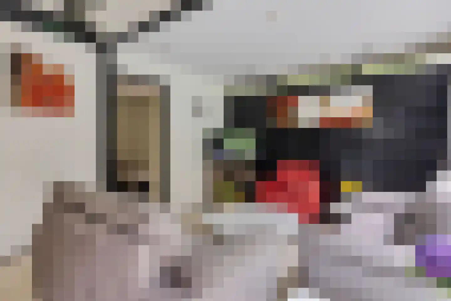 Witte Menweg 4 a 40 Geesbrug thumbnail 13