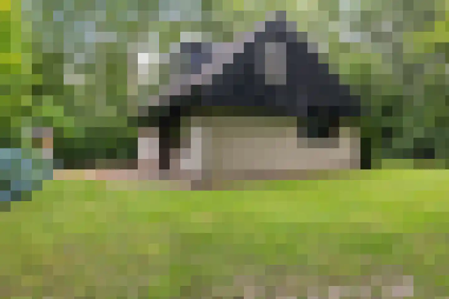 Witte Menweg 4 a 40 Geesbrug thumbnail 33