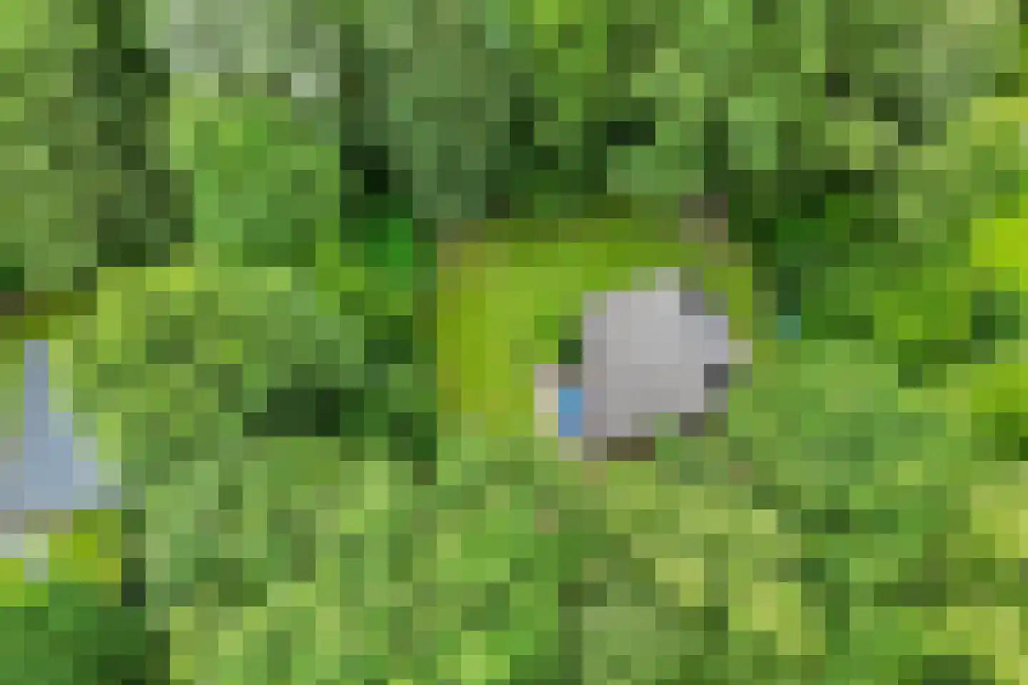 Witte Menweg 4 a 40 Geesbrug thumbnail 38