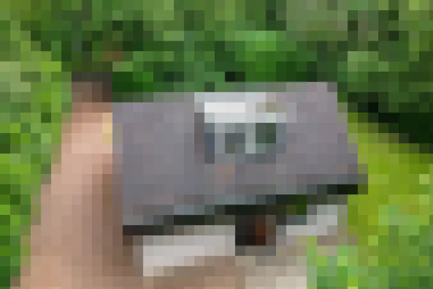 Witte Menweg 4 a 40 Geesbrug thumbnail 40