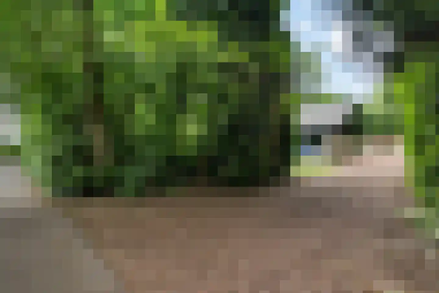 Witte Menweg 4 a 40 Geesbrug thumbnail 5