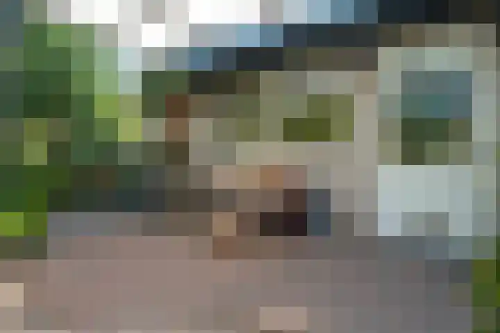 Witte Menweg 4 a 47 Geesbrug thumbnail 25