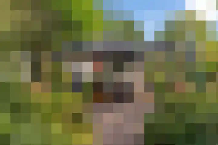Witte Menweg 4 a 47 Geesbrug thumbnail 26