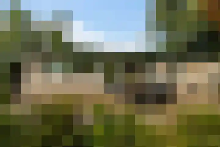 Witte Menweg 4 a 47 Geesbrug thumbnail 30