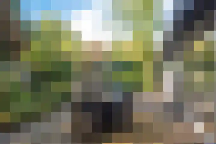 Witte Menweg 4 a 47 Geesbrug thumbnail 31