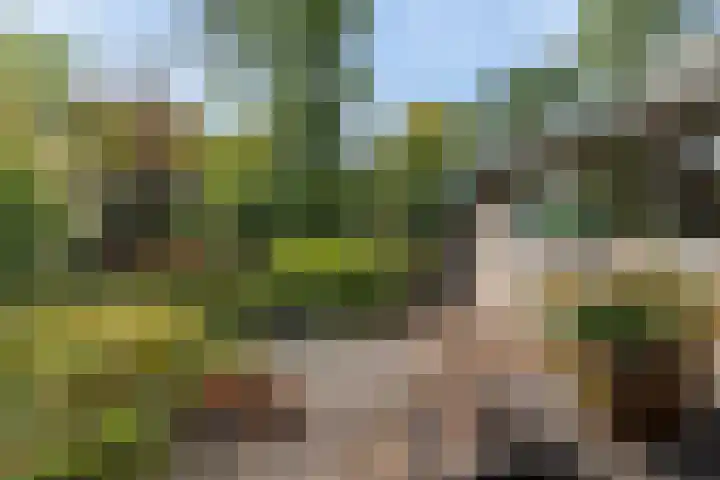 Witte Menweg 4 a 47 Geesbrug thumbnail 33