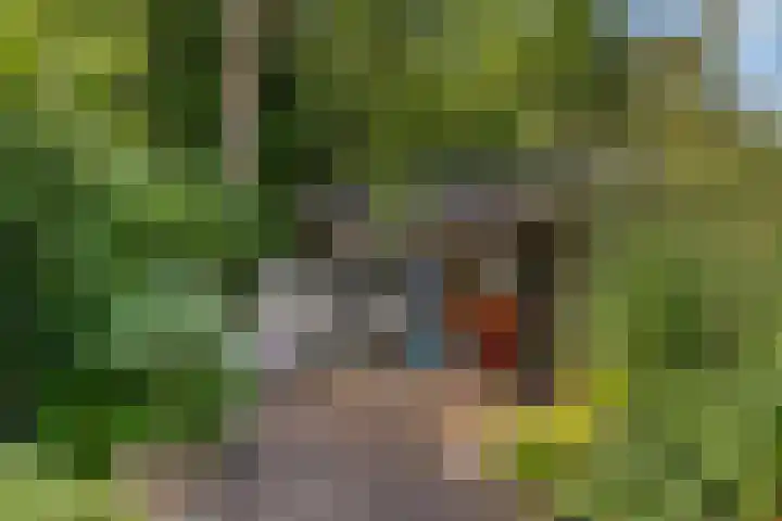 Witte Menweg 4 a 47 Geesbrug thumbnail 34