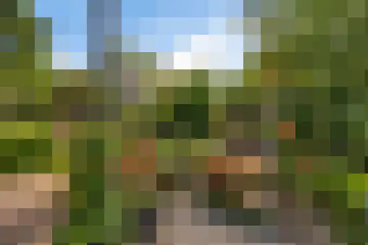 Witte Menweg 4 a 47 Geesbrug thumbnail 35