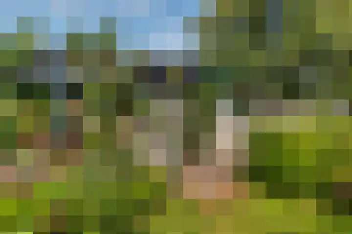 Witte Menweg 4 a 47 Geesbrug thumbnail 36