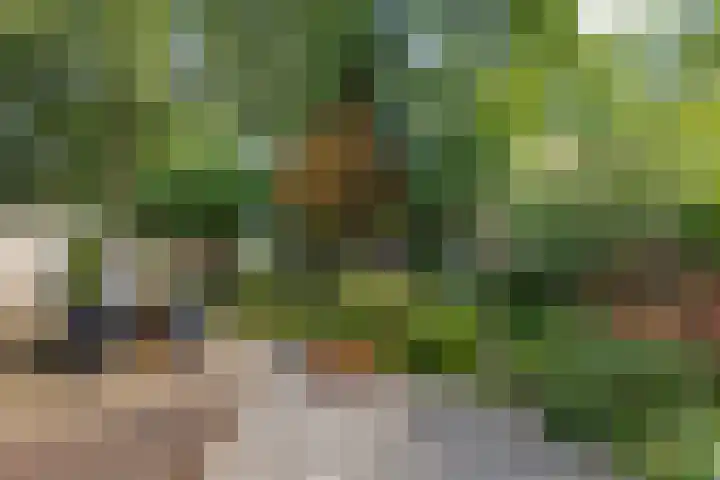 Witte Menweg 4 a 47 Geesbrug thumbnail 37