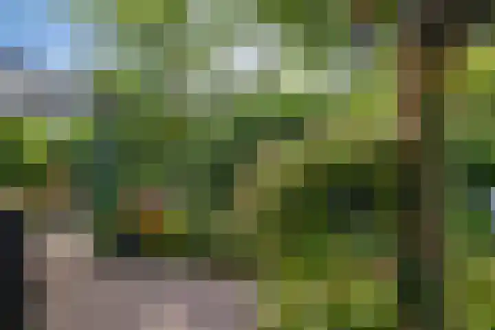 Witte Menweg 4 a 47 Geesbrug thumbnail 38