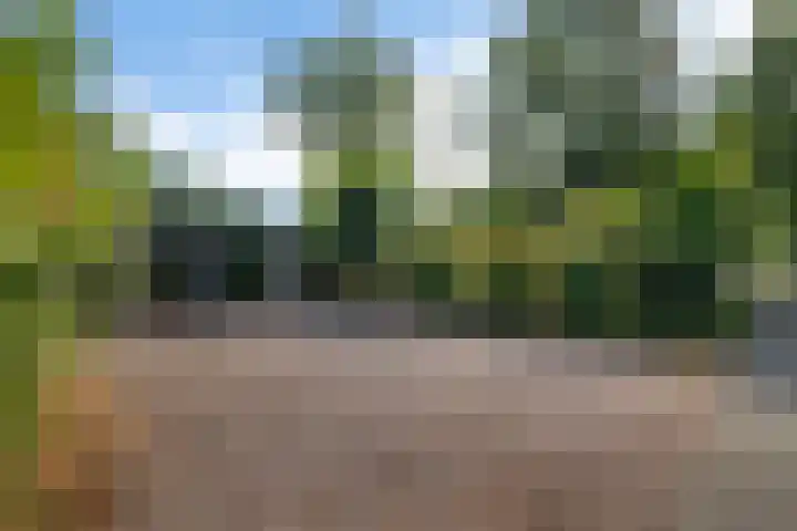 Witte Menweg 4 a 47 Geesbrug thumbnail 40