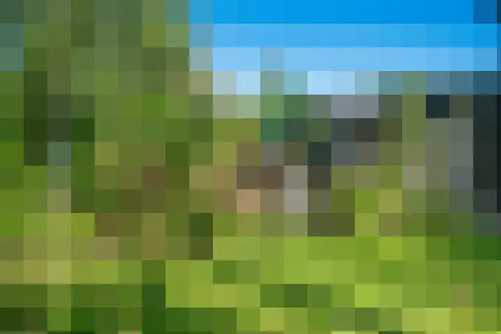 Witte Menweg 4 a 47 Geesbrug thumbnail 42