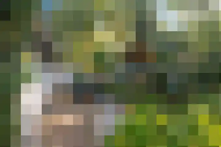 Witte Menweg 4 a 47 Geesbrug thumbnail 43