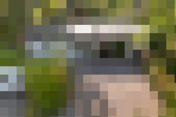 Witte Menweg 4 a 47 Geesbrug thumbnail 44