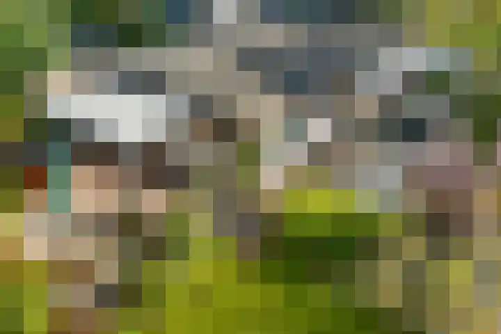 Witte Menweg 4 a 47 Geesbrug thumbnail 45