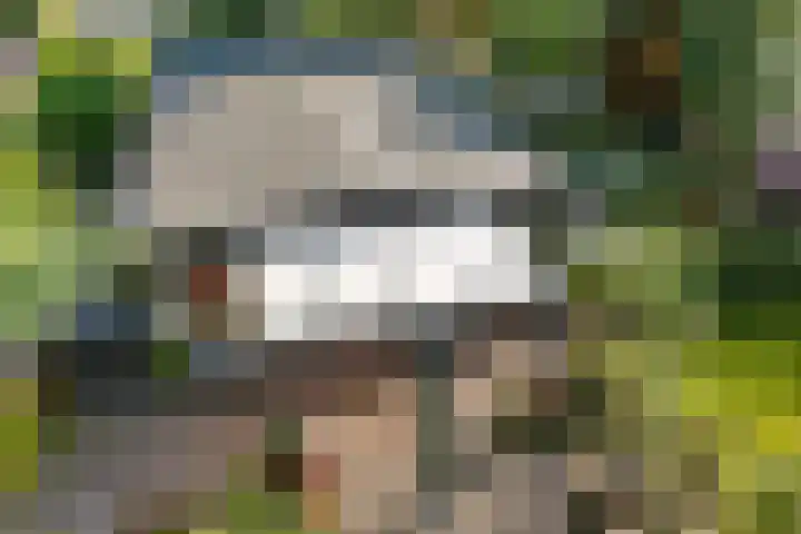 Witte Menweg 4 a 47 Geesbrug thumbnail 46