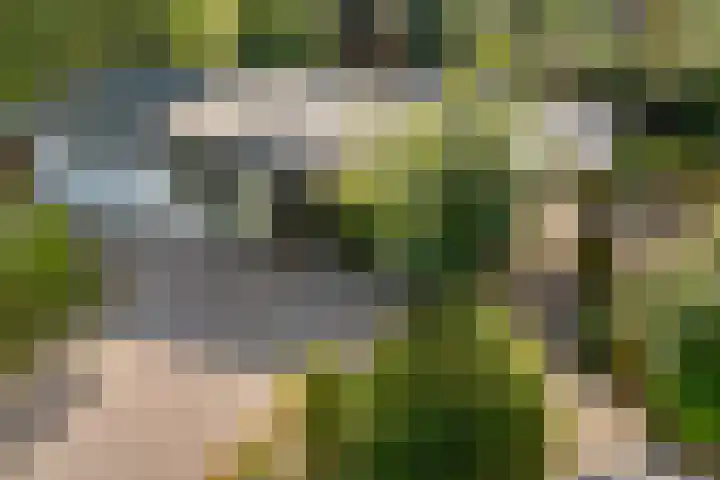 Witte Menweg 4 a 47 Geesbrug thumbnail 47