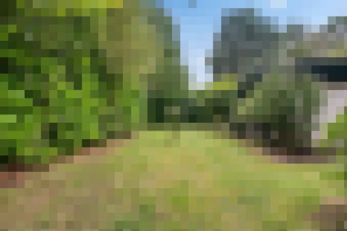 Witte Menweg 4 a 52 Geesbrug thumbnail 38