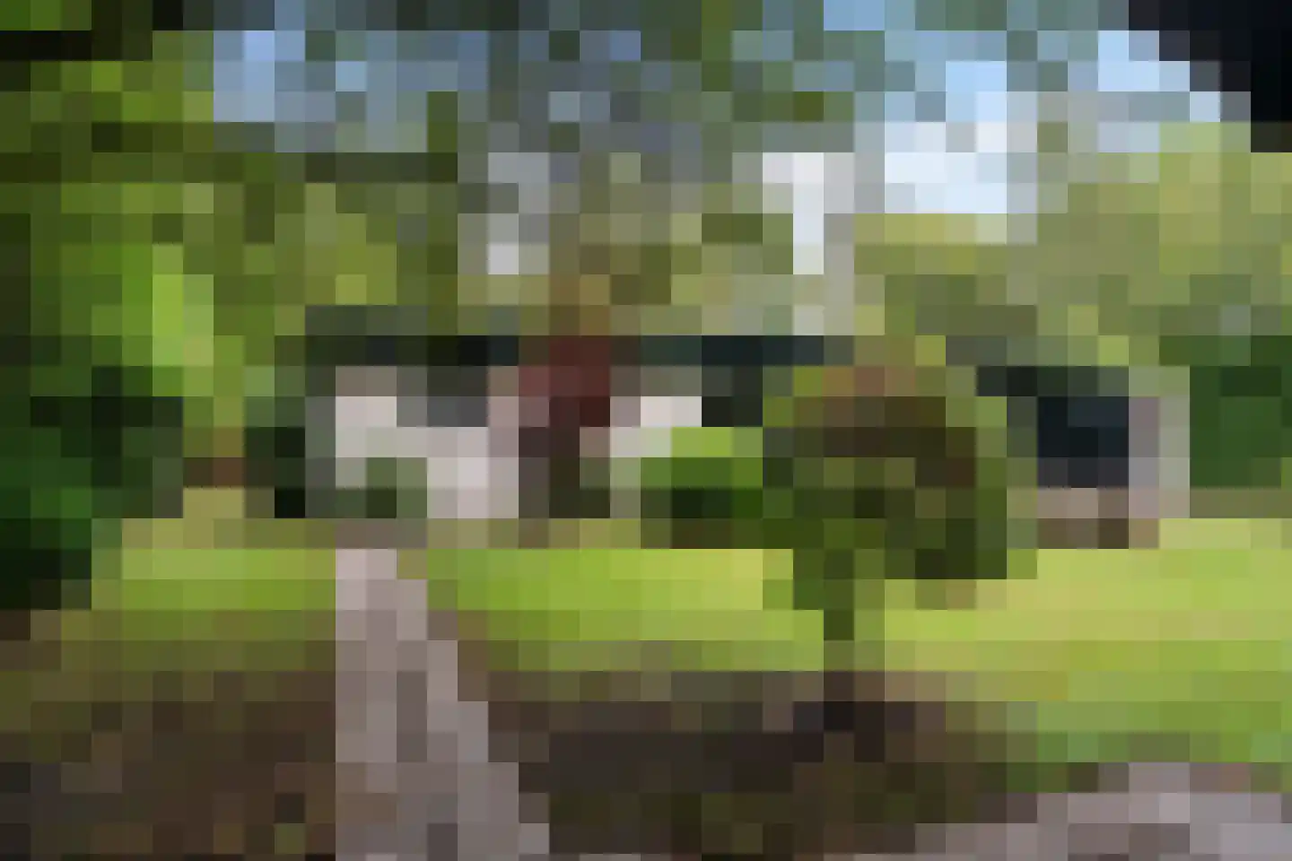 Witte Menweg 4 a 52 Geesbrug thumbnail 4