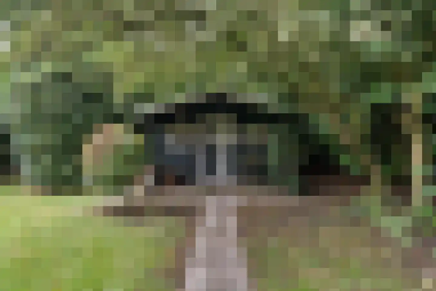 Witte Menweg 4 a 52 Geesbrug thumbnail 41