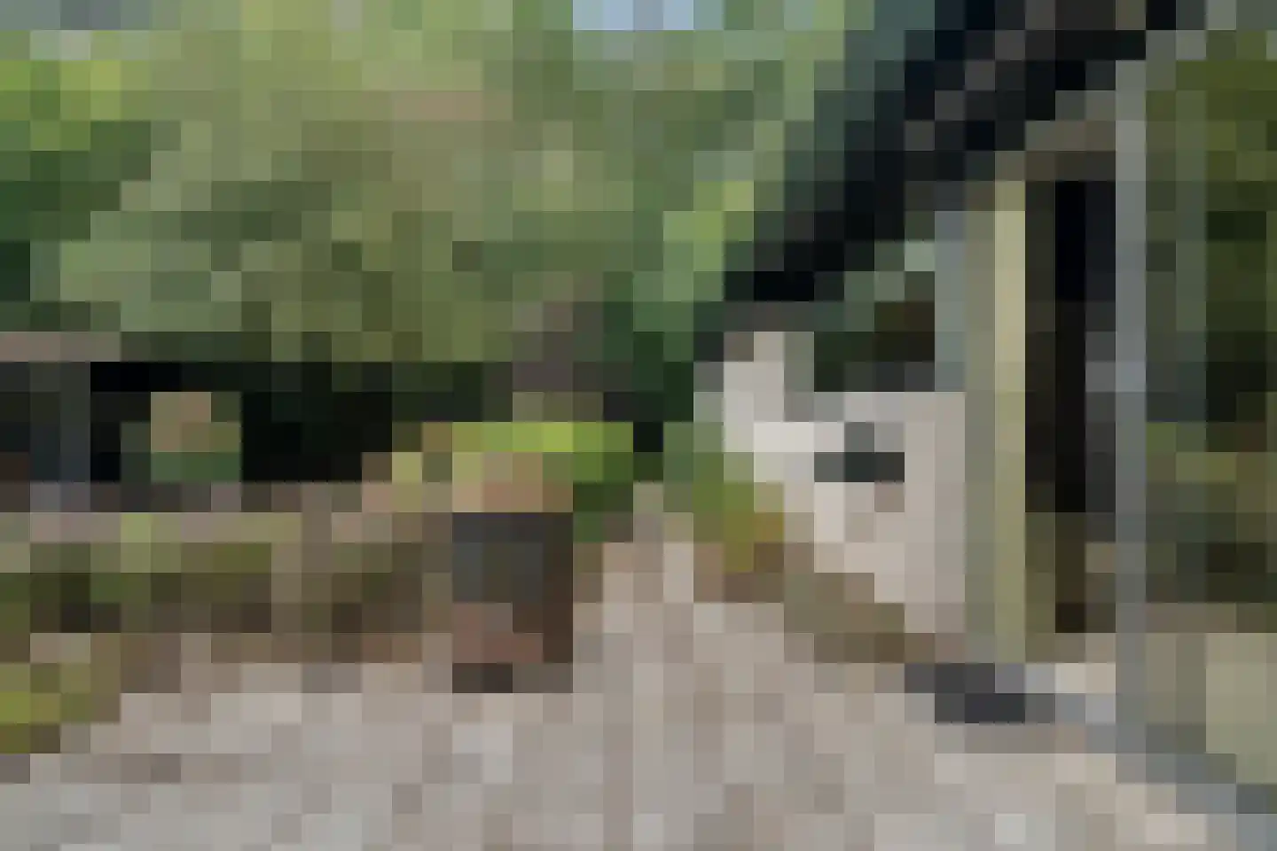Witte Menweg 4 a 52 Geesbrug thumbnail 44