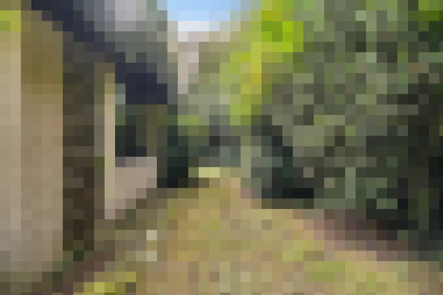 Witte Menweg 4 a 52 Geesbrug thumbnail 48