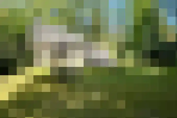 Witte Menweg 4 a 69 Geesbrug thumbnail 28