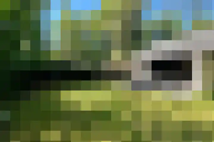 Witte Menweg 4 a 69 Geesbrug thumbnail 29