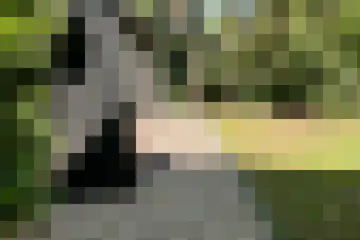 Witte Menweg 4 a 69 Geesbrug thumbnail 31