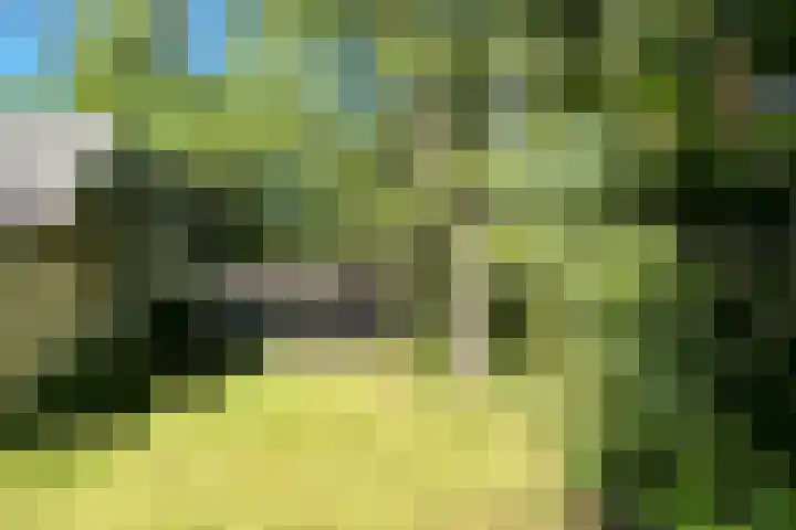 Witte Menweg 4 a 69 Geesbrug thumbnail 32