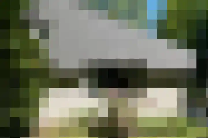 Witte Menweg 4 a 69 Geesbrug thumbnail 33