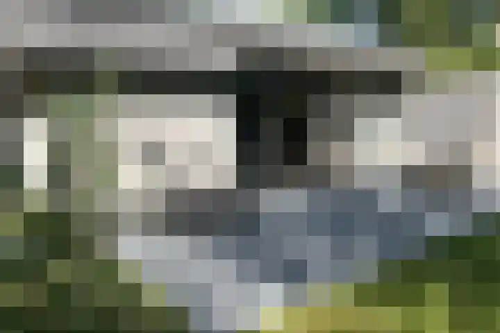 Witte Menweg 4 a 69 Geesbrug thumbnail 34