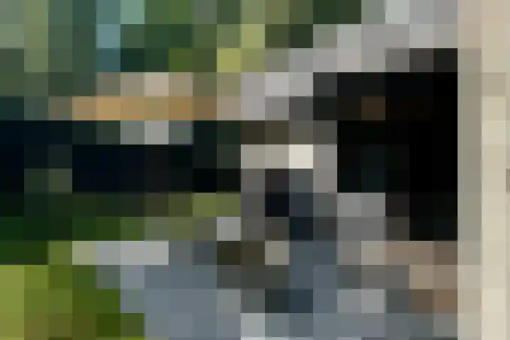 Witte Menweg 4 a 69 Geesbrug thumbnail 35