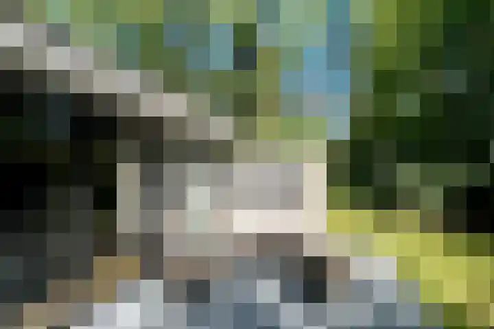 Witte Menweg 4 a 69 Geesbrug thumbnail 36
