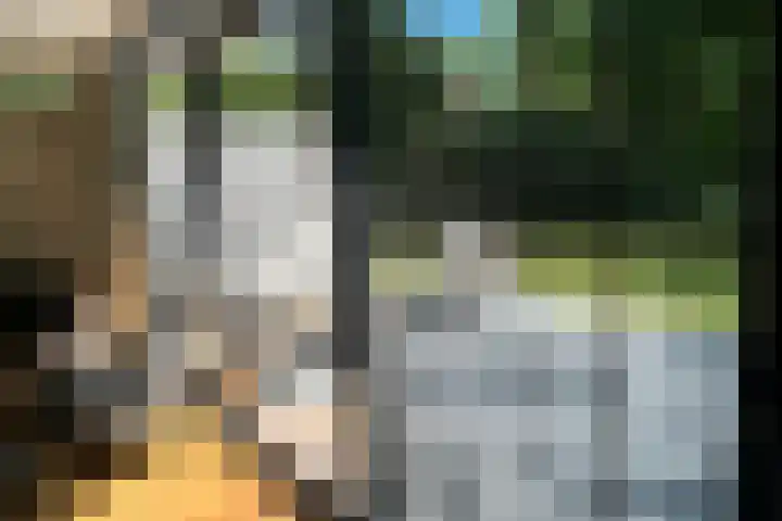 Witte Menweg 4 a 69 Geesbrug thumbnail 9