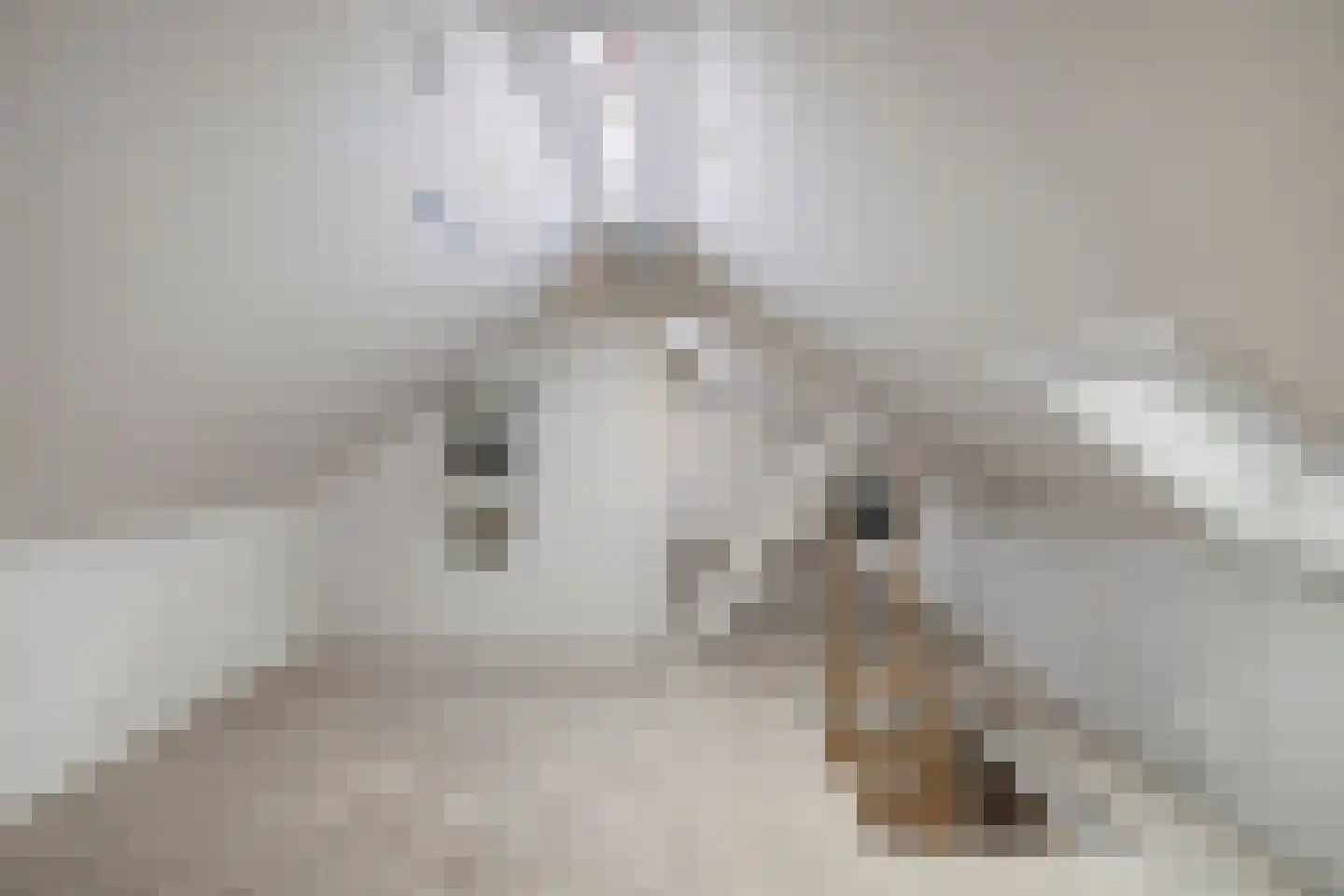 Witte Molenweg 11 Heesch thumbnail 28