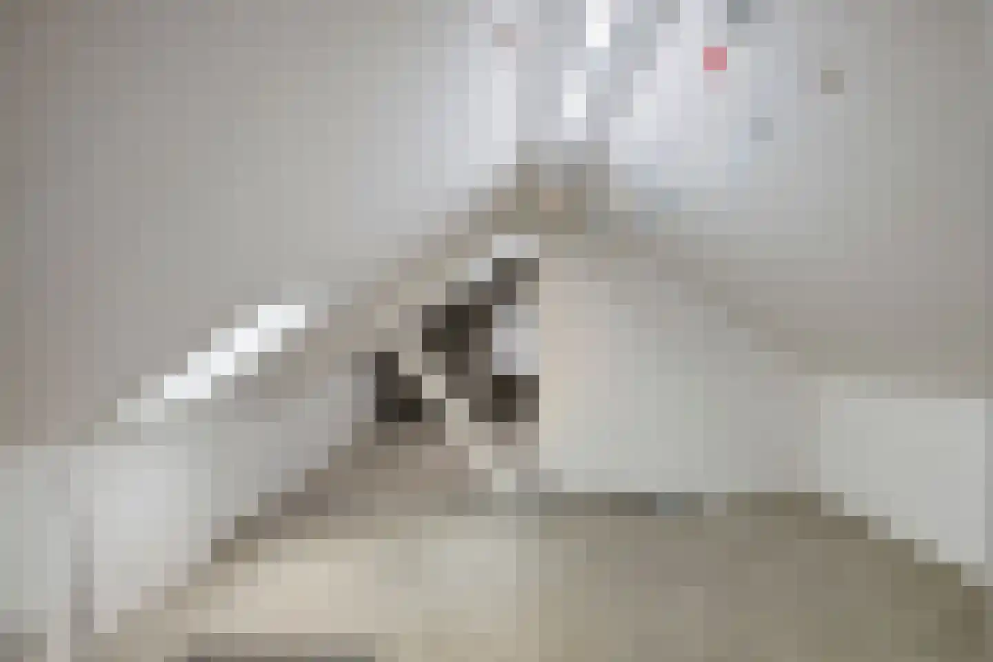 Witte Molenweg 11 Heesch thumbnail 29