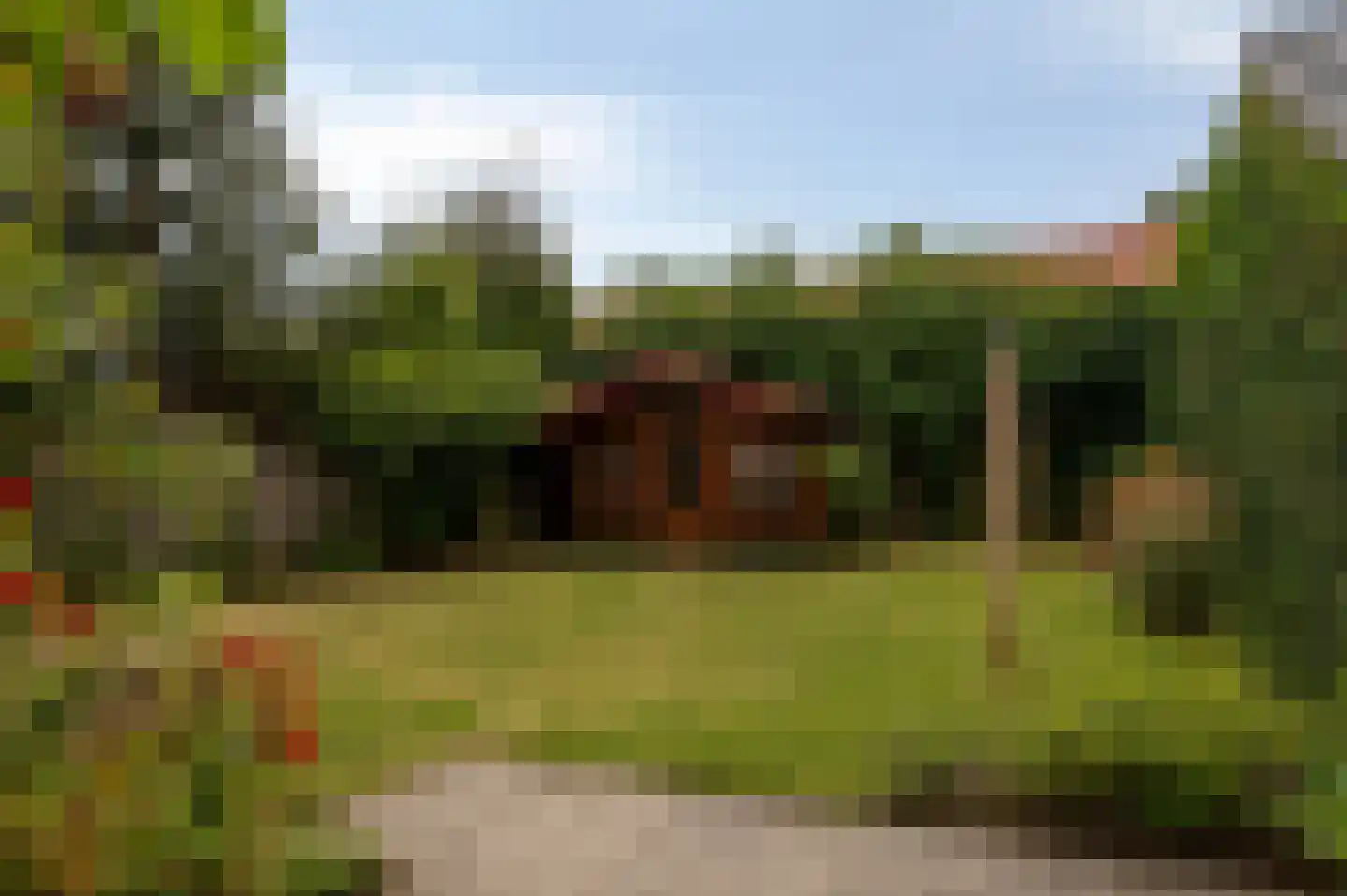 Witte Molenweg 11 Heesch thumbnail 33