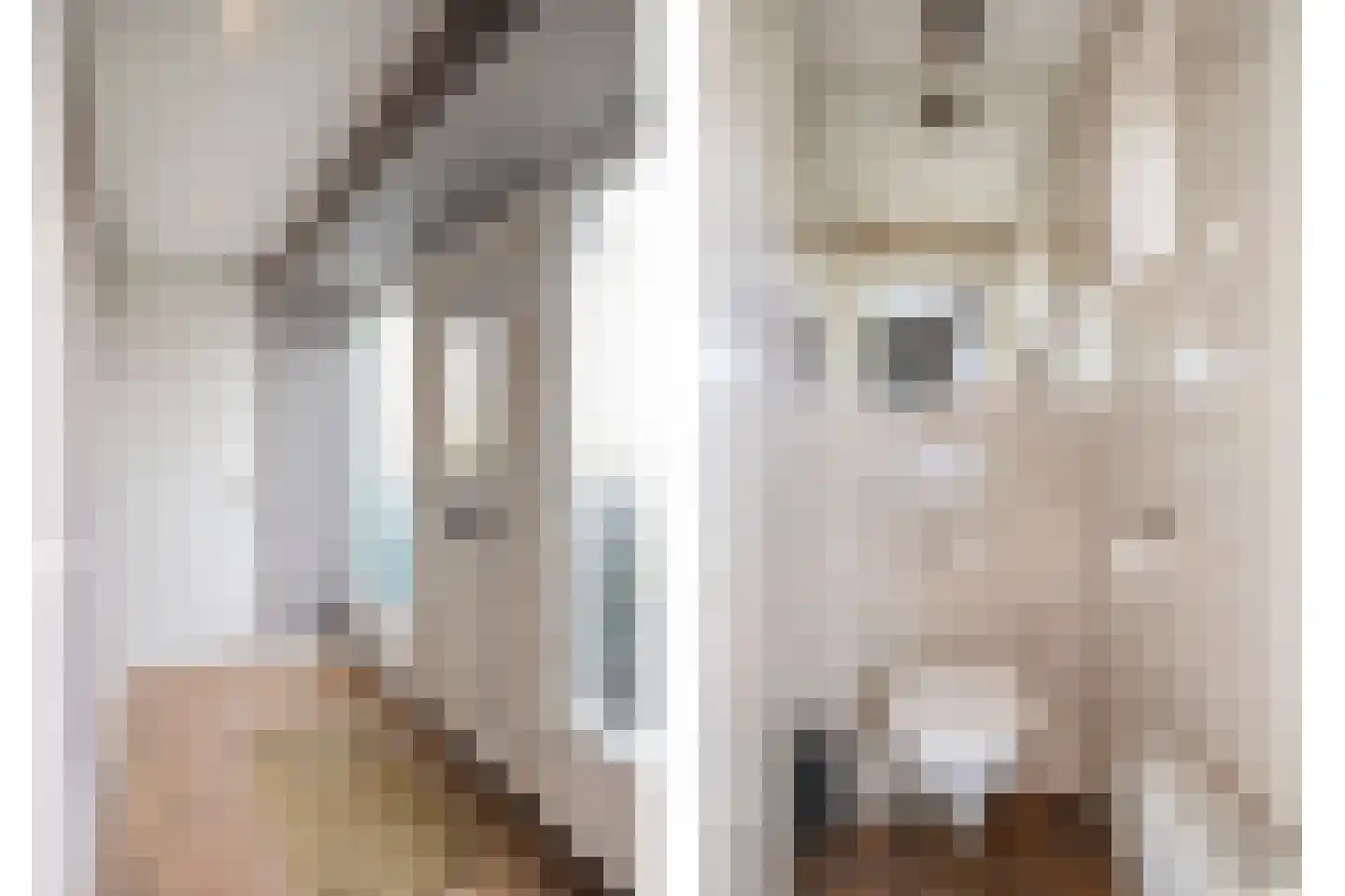 Witte Molenweg 11 Heesch thumbnail 6