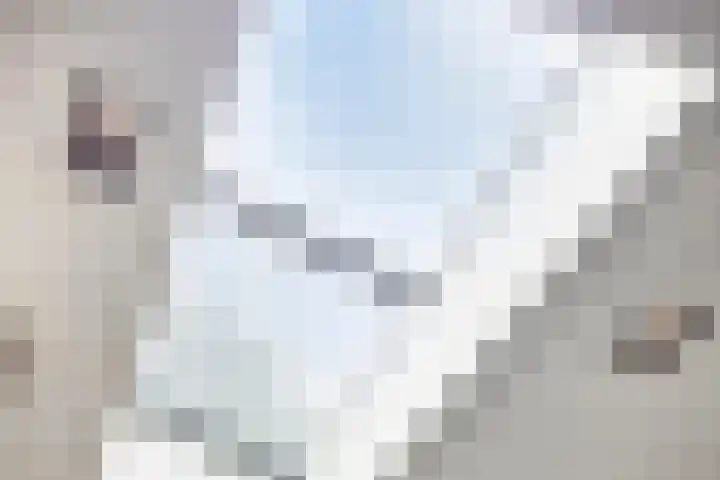 Witte Molenweg 2 Heesch thumbnail 10