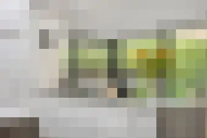 Witte Molenweg 2 Heesch thumbnail 12