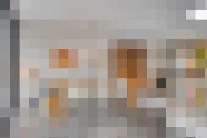 Witte Molenweg 2 Heesch thumbnail 13