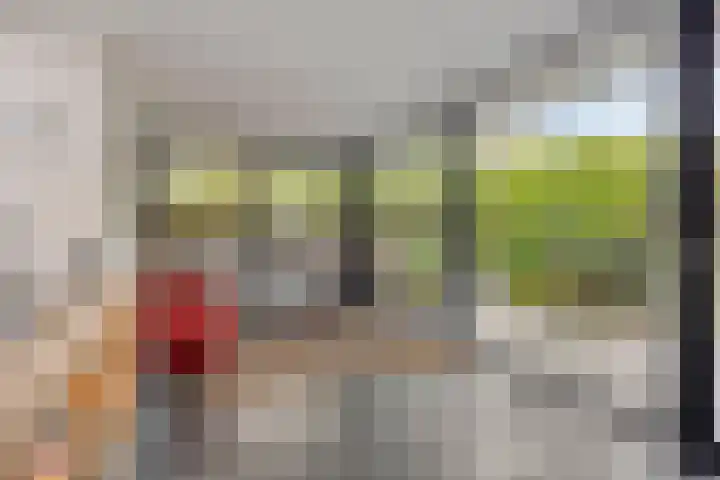 Witte Molenweg 2 Heesch thumbnail 16