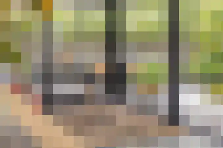 Witte Molenweg 2 Heesch thumbnail 17
