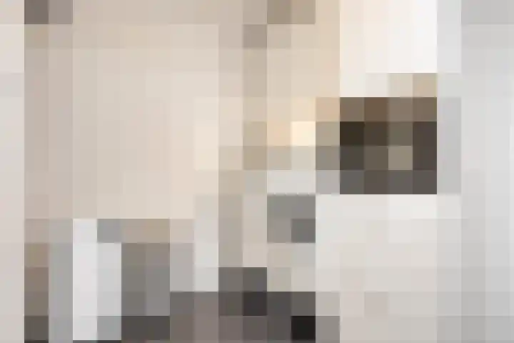 Witte Molenweg 2 Heesch thumbnail 18