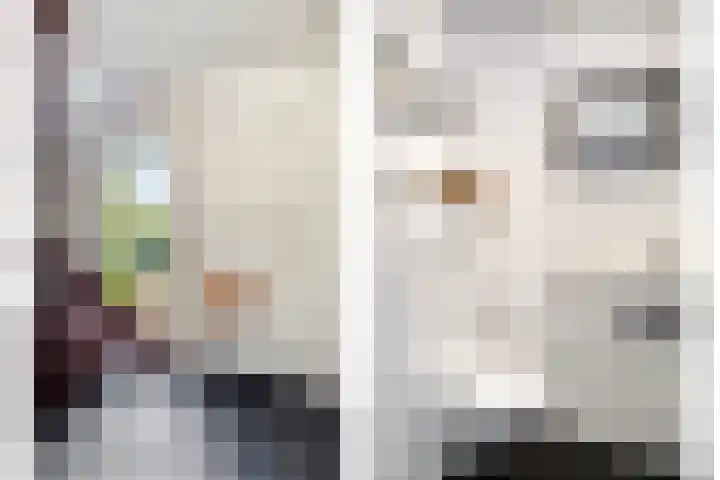 Witte Molenweg 2 Heesch thumbnail 19