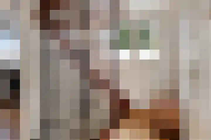 Witte Molenweg 2 Heesch thumbnail 26