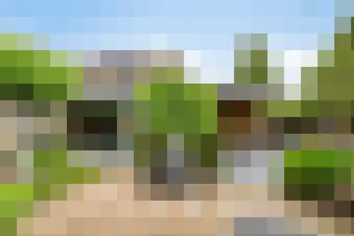 Witte Molenweg 2 Heesch thumbnail 30