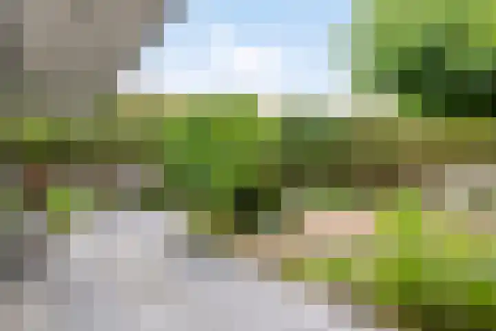 Witte Molenweg 2 Heesch thumbnail 31